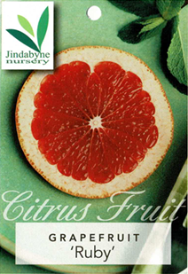 Grapefruit - Ruby Grapefruit - Ruby