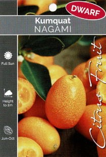 Kumquat - Nagami - Dwarf Kumquat - Nagami - Dwarf