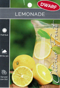 Lemon - Lemonade - Dwarf Lemon - Lemonade - Dwarf