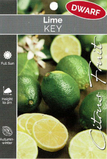 Lime - Key Lime - Dwarf Lime - Key Lime - Dwarf
