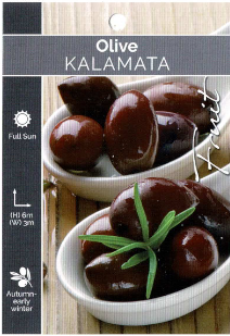 OIlive - Kalamata OIlive - Kalamata