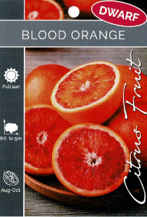 Orange - Blood Orange - Dwarf Orange - Blood Orange - Dwarf